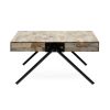 Mango Wood Coffee Table