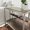 Padena Metal Frame Wood Living Room Chairside Table with Shelf