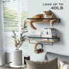 Bathroom Shelf with Towel Bar Set of 2